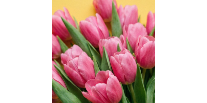 Самым прекрасным и неповторимым!